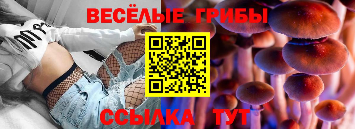 Галлюциногенные грибы мухоморы Прокопьевск