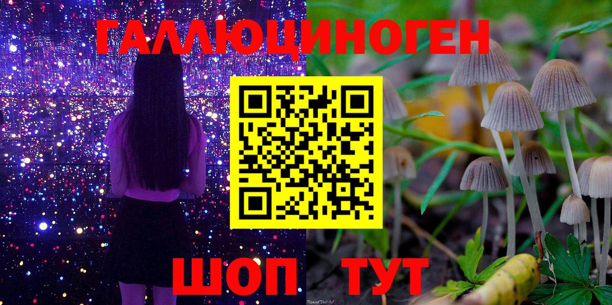 Галлюциногенные грибы Psilocybe  Псилоцибиновые грибы Psilocybe  Вход с VPN  Прокопьевск 